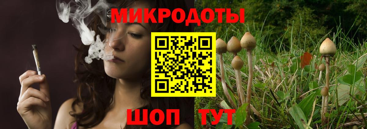 Галлюциногенные грибы Magic Shrooms Видное